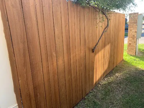 A vibrant wooden fence that has just been cleaned and stained