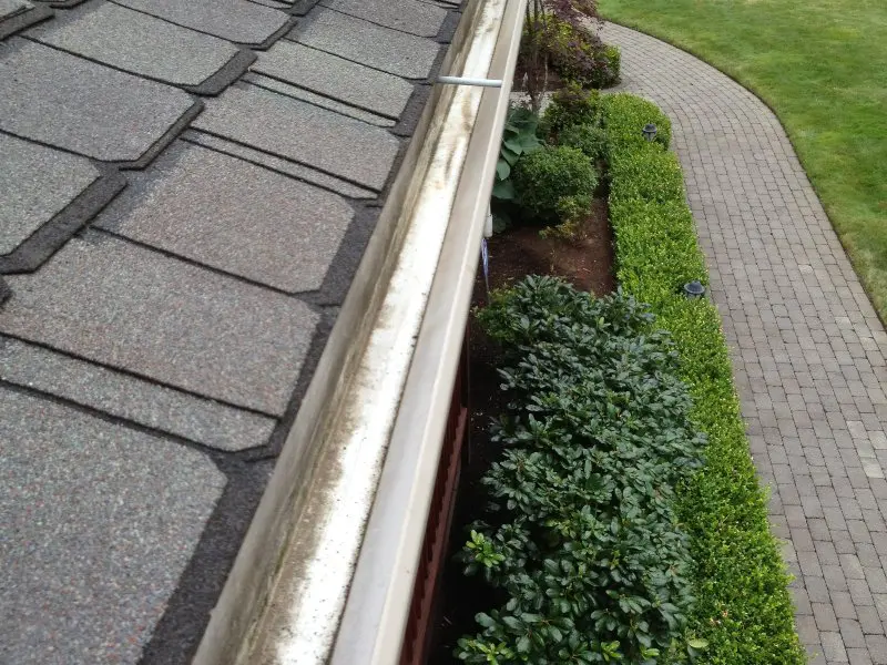 After shot of a gutter cleaning service.